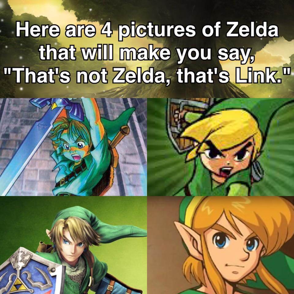 Link - The legend of Zelda  Legend of zelda memes, Zelda funny