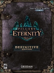 Isometric Game - Pillars of Eternity